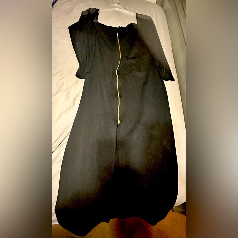 Dress with sheer sleeves. Front zip